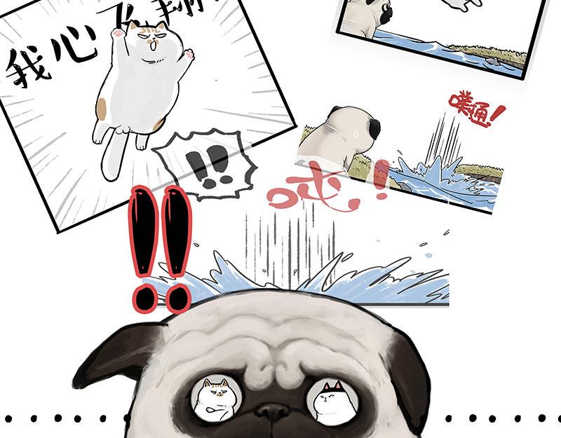 第336话 “告别”仪式8