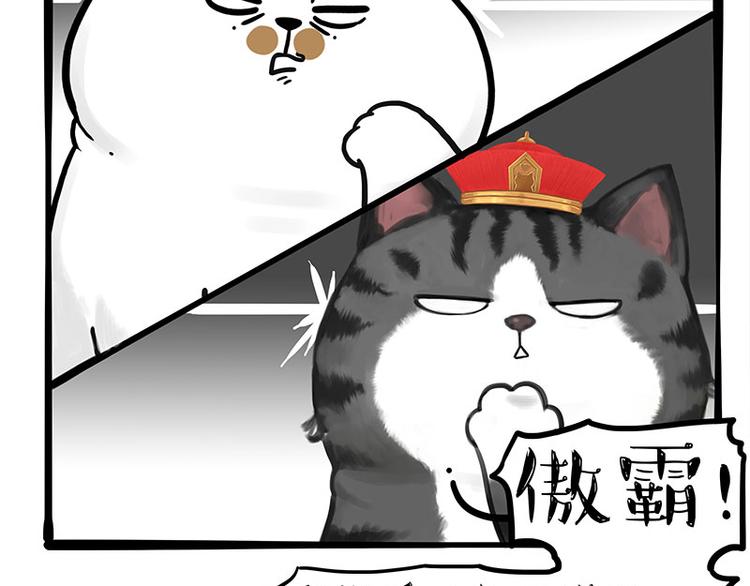 第263话 没心没肺的快乐8