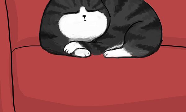 第71话 撸猫神器14