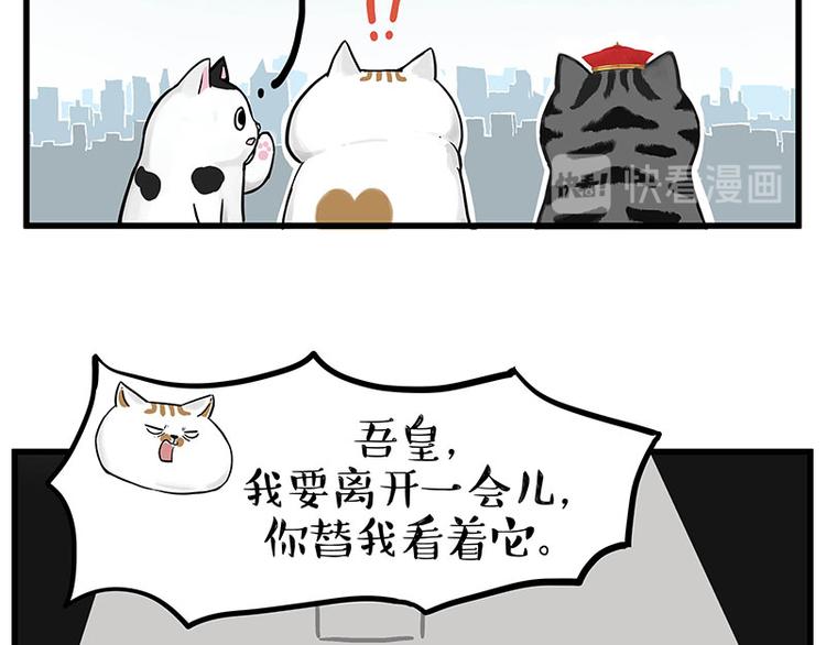 第248话 童话是真的26