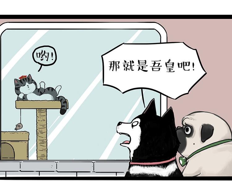 第194话 生活不易，猫狗打工32