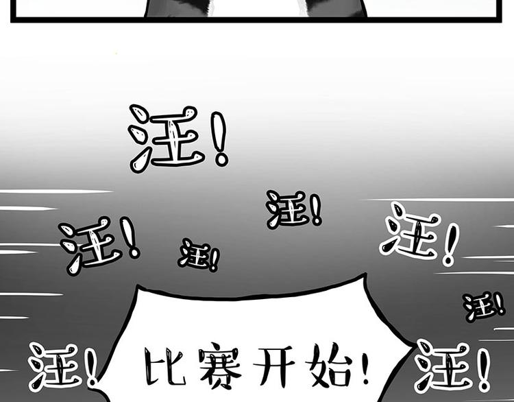 第277话 猫斗猫24