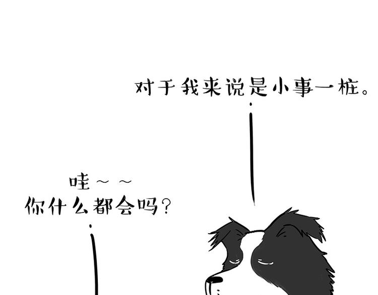 第207话 巴扎黑丢了？！24