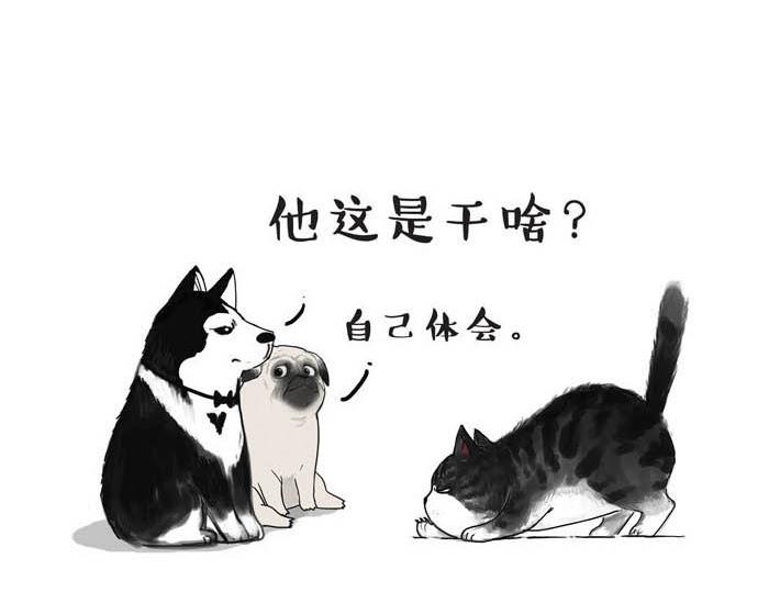 第31话 来自喵星人的快感9