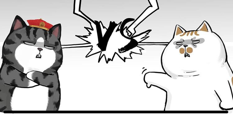 第277话 猫斗猫20