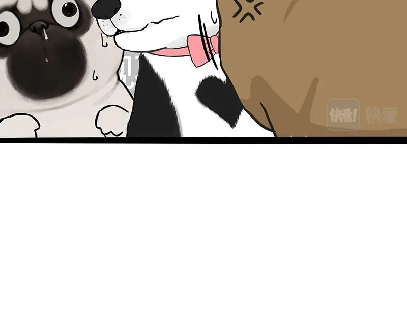 第375话 偶遇恶犬6