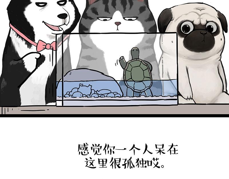 第299话 真假虚实6
