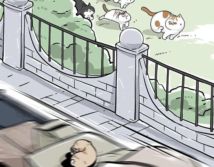 第271话 进击的流浪猫！31