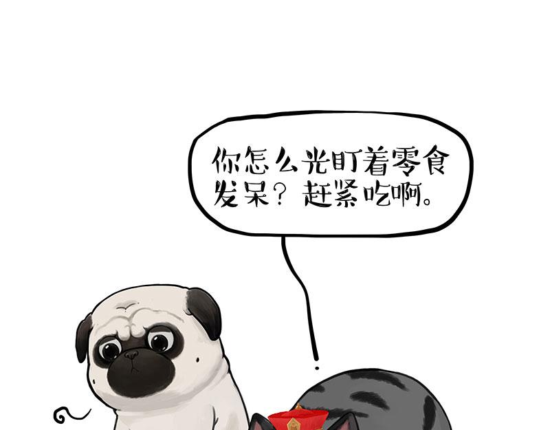 第344话 人生止痛剂0
