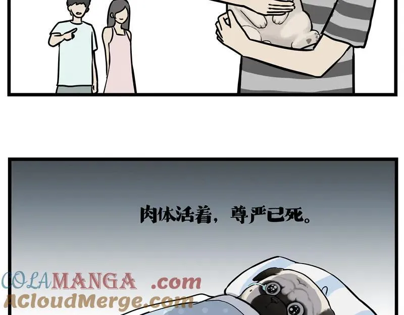 第423话 卡沙不拦卡18