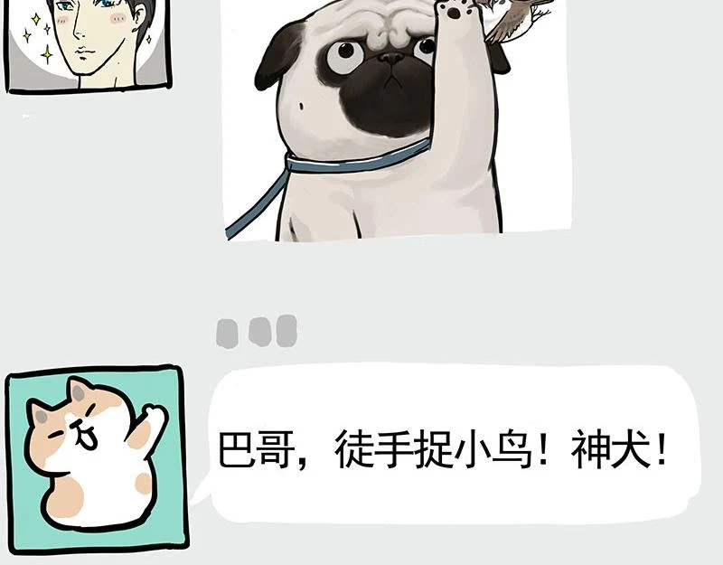 第365话 “神犬”巴扎黑11