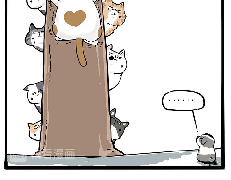 第271话 进击的流浪猫！9