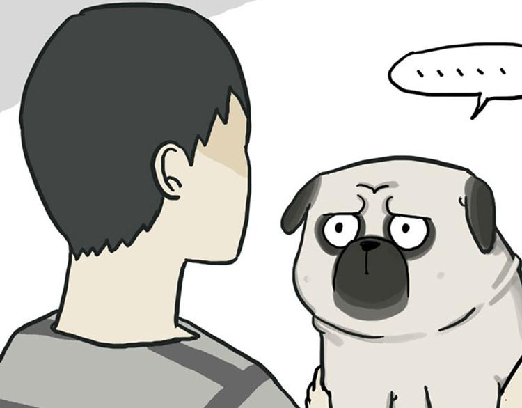 第36话 猫奴为什么没有尊严8