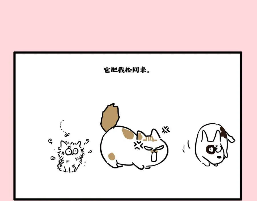 第413话 如果要离别44