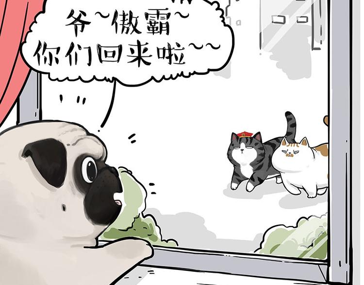 第249话 黑黑快跑！63