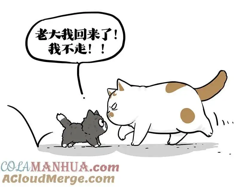 第402话 送走！所有！24