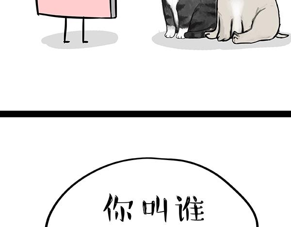 第73话 你才是肥仔嘞10