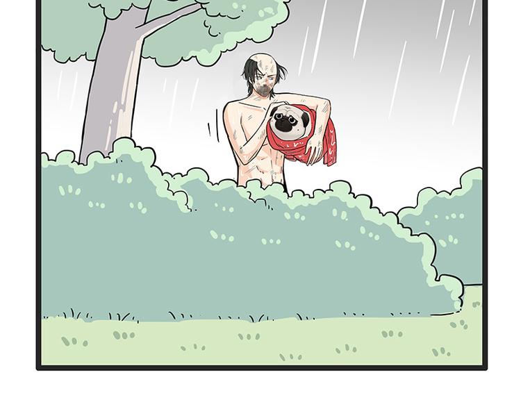 第252话 秃头帅哥76