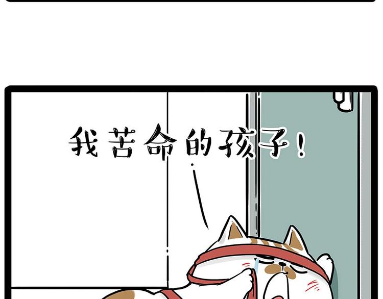 第195话 人类，尝尝我的父爱38