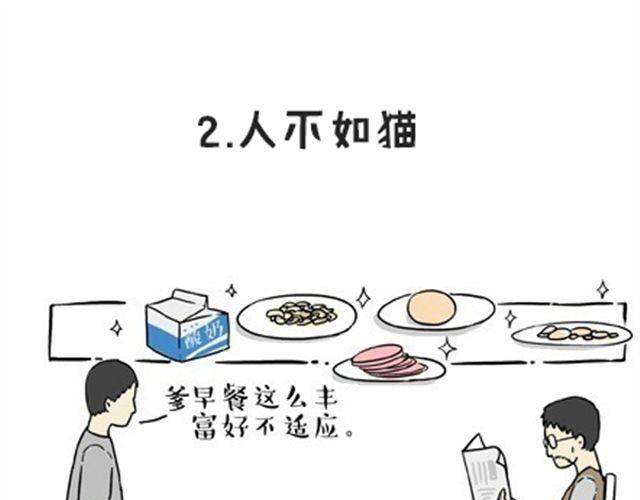 第16话 我家猫怎么能牺牲色相8