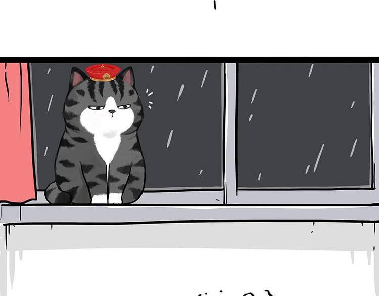 第265话 雨夜“惊魂”19