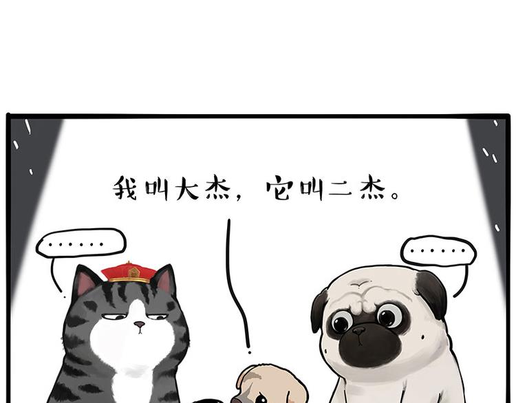 第267话 不让你流浪16