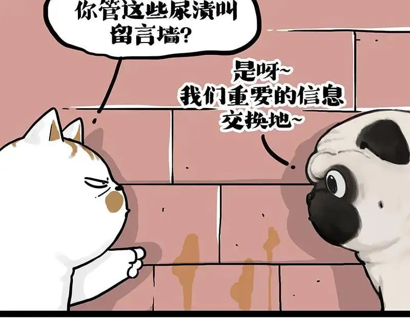 第404话 寻家计划1：啸天97