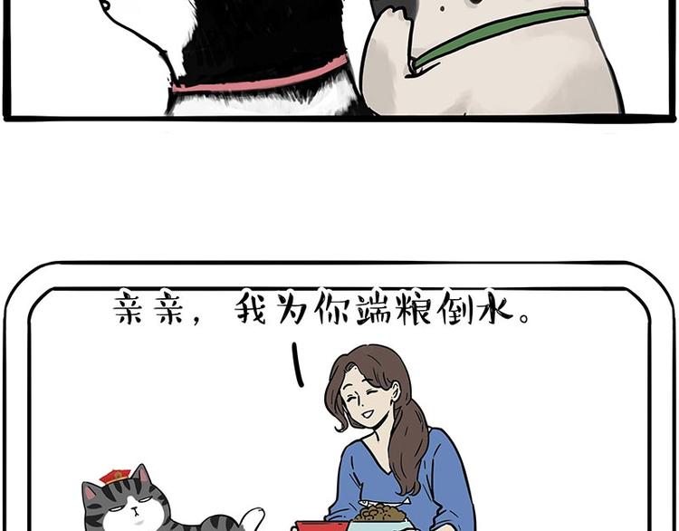 第194话 生活不易，猫狗打工34