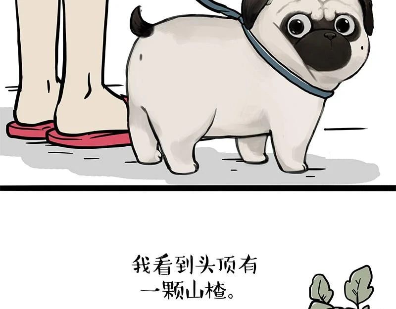 第365话 “神犬”巴扎黑2