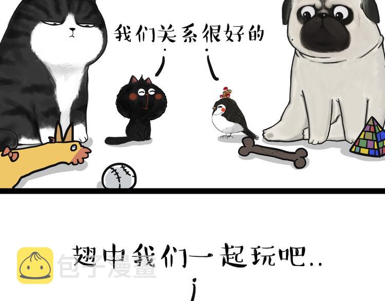 第57话 宠物太粘人是什么体验12