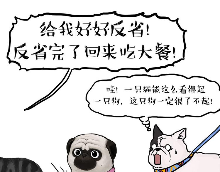 第149话 真正的傲娇66