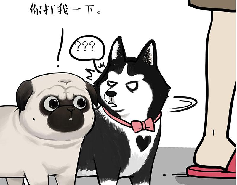 第299话 真假虚实62