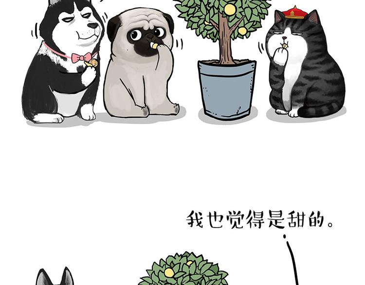 第141话 左右为难38