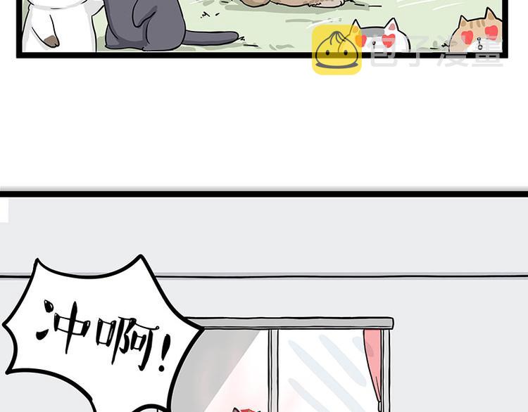 第284话 美喵竟是我自己45