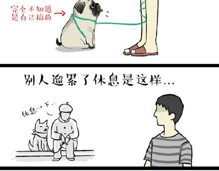 第21话 巴扎黑不是我亲生的！11