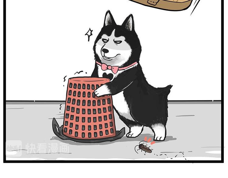 第261话 灭蟑？30