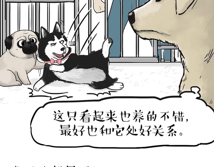 第198话 你爱世界，但我爱你21