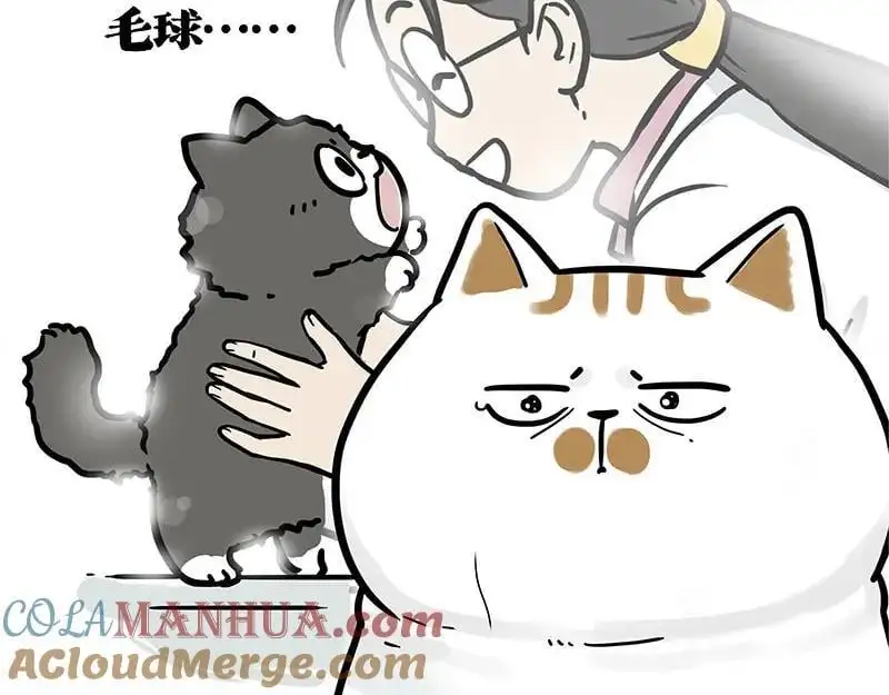 第402话 送走！所有！57
