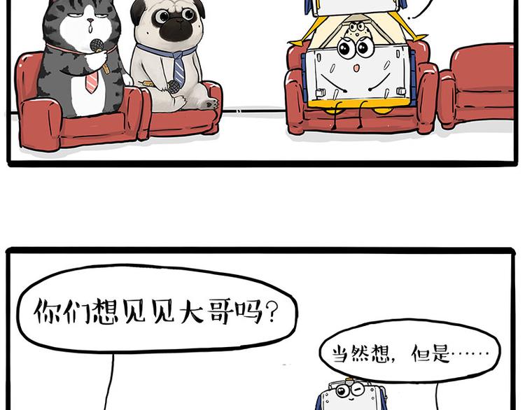 第245话 真上天了19