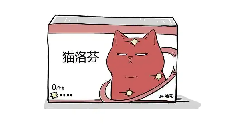 12月20日请假条3