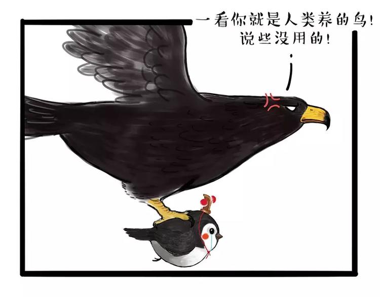 第168话 翅中历险记6