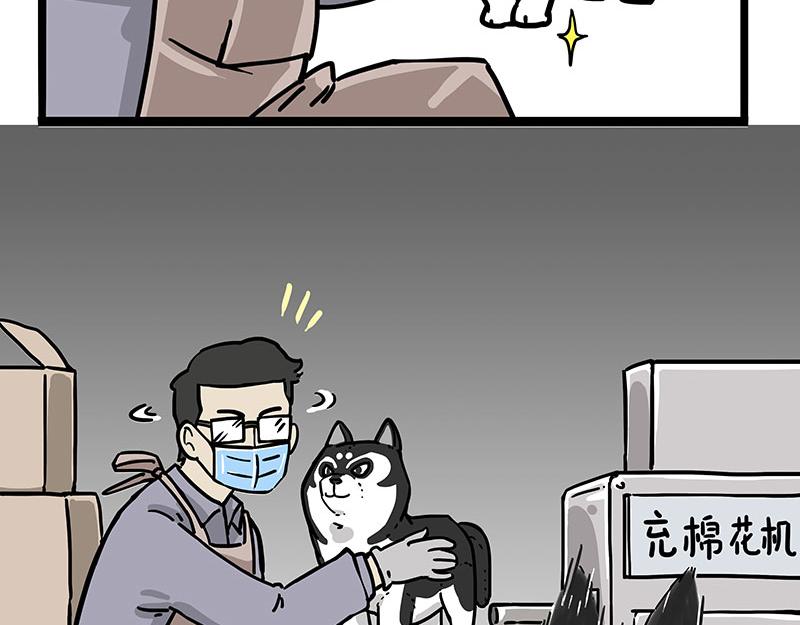 第304话 你是真的狗14