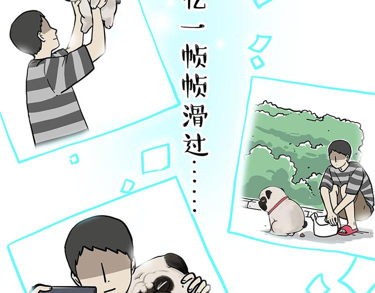 第262话 忠犬巴扎黑？！51