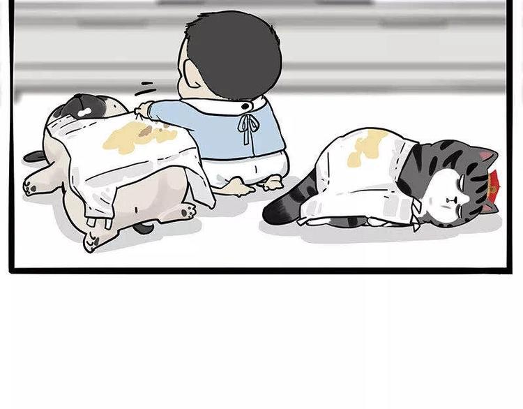第191话 猫猫无证看孩子？！65