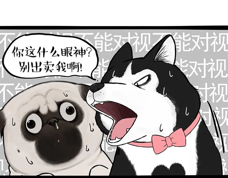 第375话 偶遇恶犬4