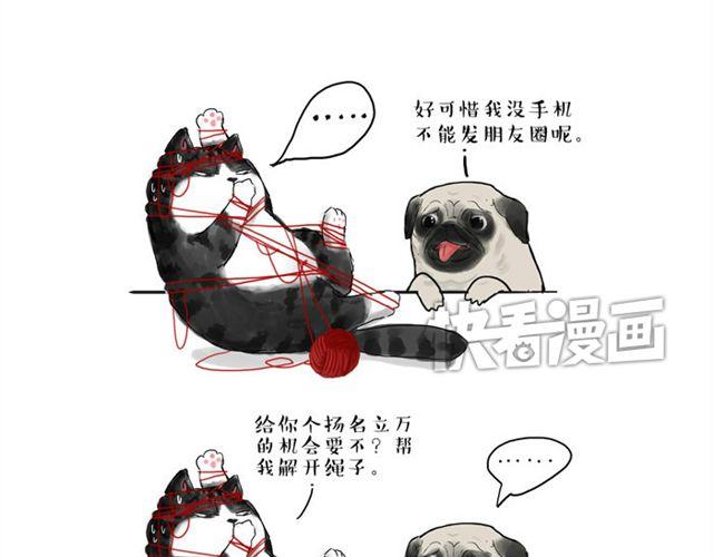 第15话 猫引发的朋友圈惨案2