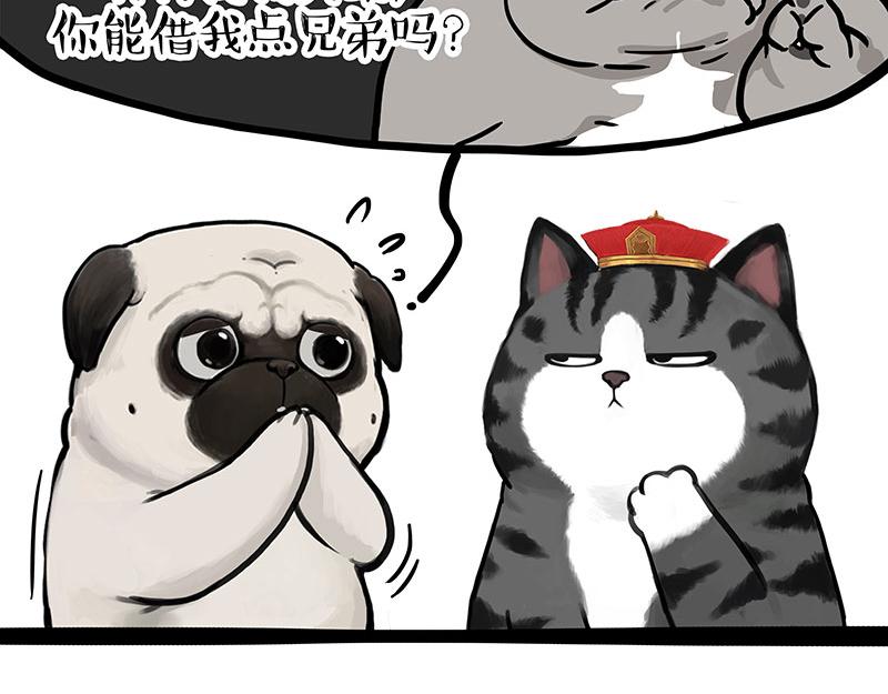 第337话 下辈子报仇32