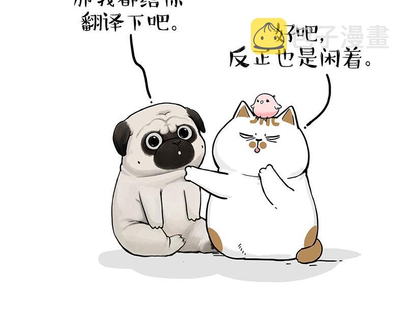第317话 社交密码14