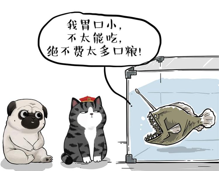 第286话 动物世界32