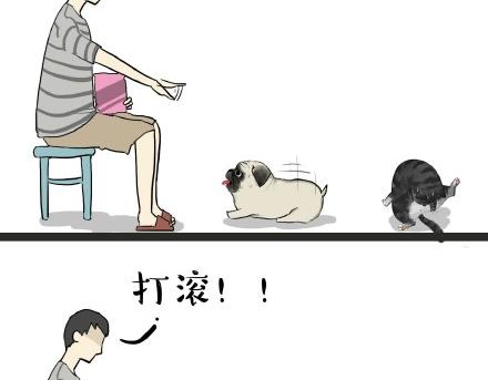第21话 巴扎黑不是我亲生的！2